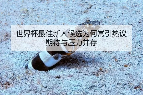 世界杯最佳新人候选为何常引热议 期待与压力并存